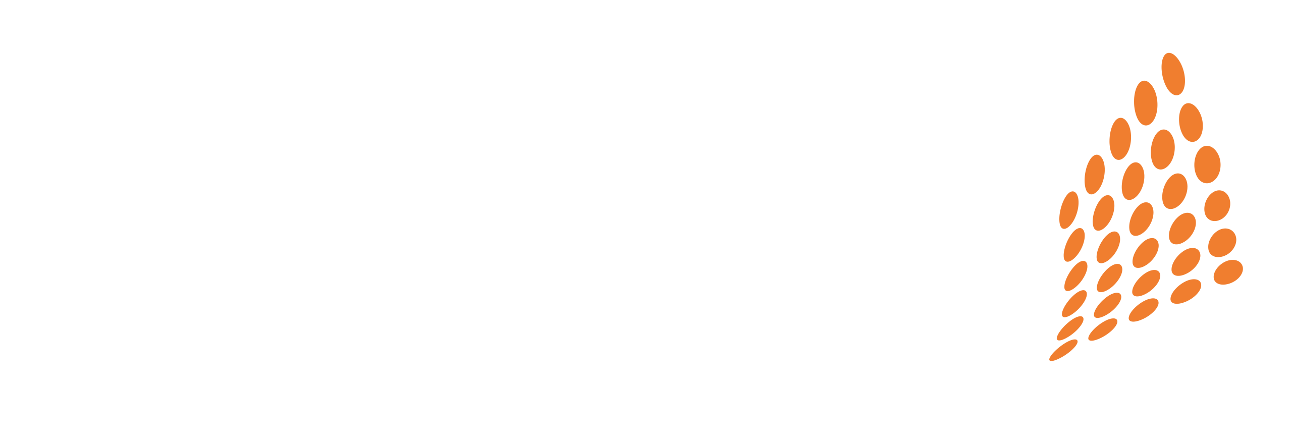 Preferred Cybersecurity & IT Logo
